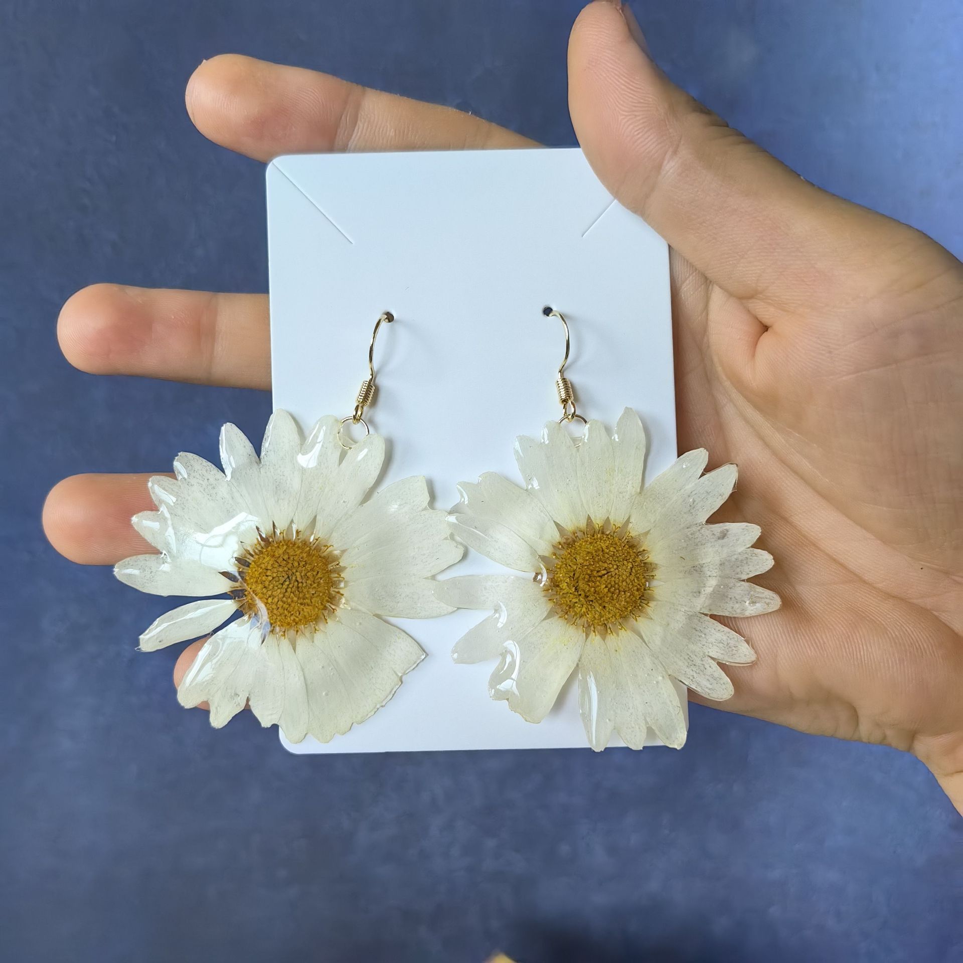 Pendientes de la Serie de Plan - Body Jewelry Wholesale reseña y precio