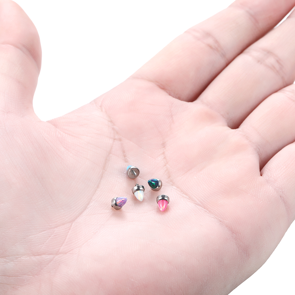 Juego de garras de titanio, Pi - Body Jewelry Industrial reseña y precio