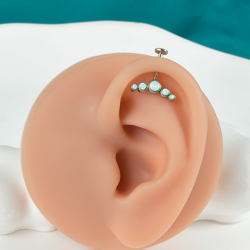 Anillo de barra de empuje de a - Helix Cartilage Ring reseña y precio